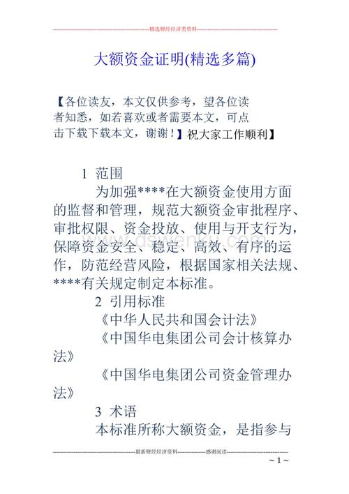 大額資金證明(精選多篇)
