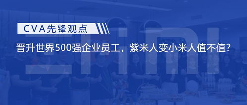小米收購生態(tài)鏈伙伴公司,是特例抑或常態(tài)化