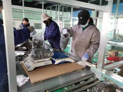 《那山那水我代言》龍頭企業(yè)助力鄉(xiāng)村振興