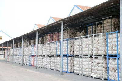 一棵樹、一塊板、一頭蒜,邳州現(xiàn)代農(nóng)業(yè)這篇文章大有所為-財(cái)經(jīng)頻道-手機(jī)