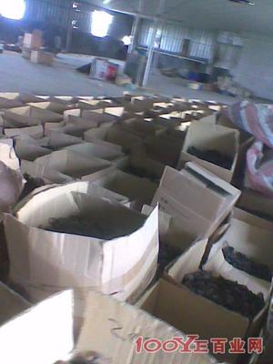 惠州專業(yè)二手設(shè)備回收 高價(jià)收購，信譽(yù)保障